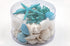 aqua coral and shell pack